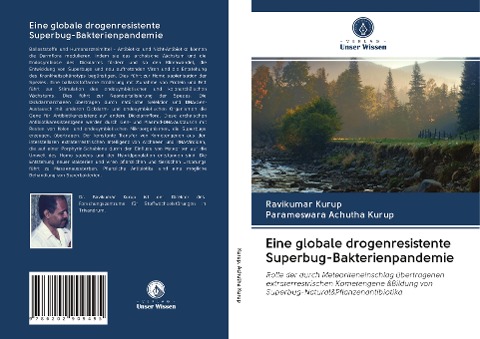Eine globale drogenresistente Superbug-Bakterienpandemie - Ravikumar Kurup, Parameswara Achutha Kurup