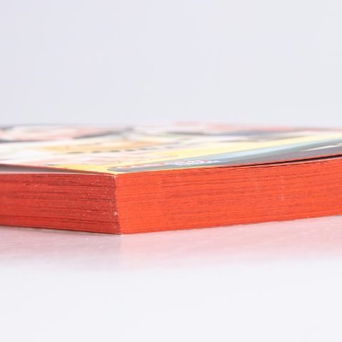 InsideView 4