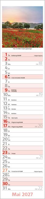 InsideView 5