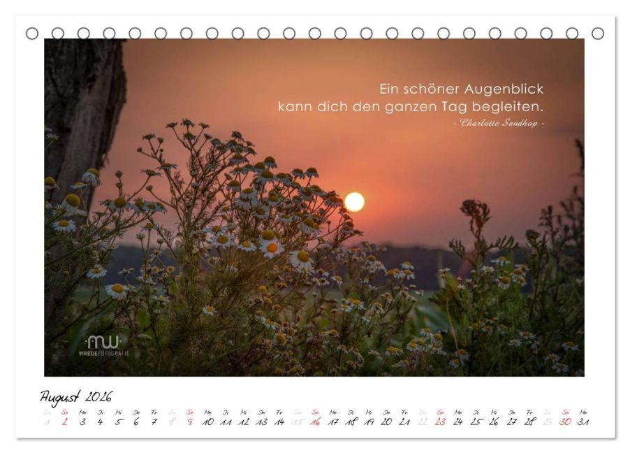 InsideView 13