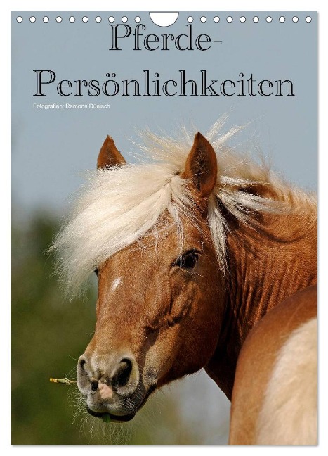 Pferde-Persönlichkeiten - ausdrucksstarke Gesichter verschiedener Pferderassen (Wandkalender 2024 DIN A4 hoch), CALVENDO Monatskalender - Ramona Dünisch - Www. Ramona-Duenisch. De