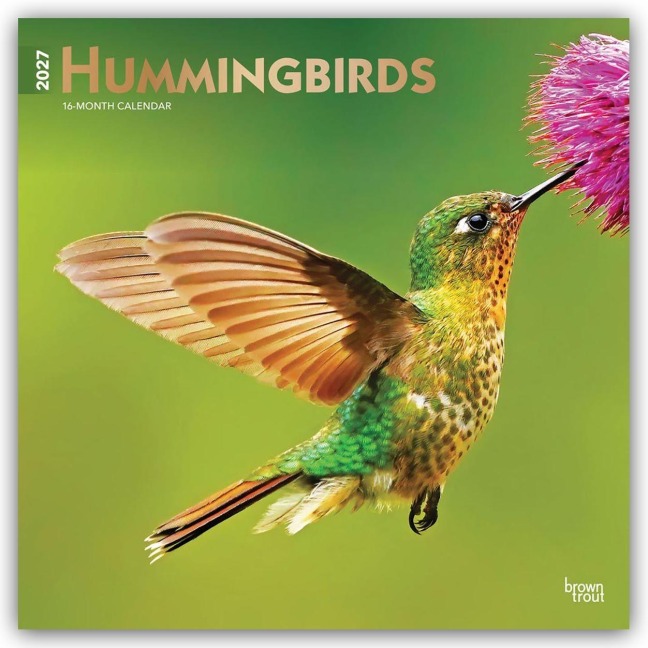 Hummingbirds - Kolibris 2027 - 16-Monatskalender - Browntrout Publishers