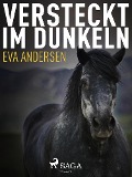 Cover-Bild zum Titel 'Versteckt im Dunkeln' von 'Eva Andersen'