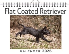 Cover-Bild zum Titel 'Flat Coated Retriever' von 'Lena Schmitz'