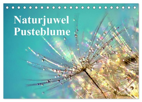 Naturjuwel Pusteblume (Tischkalender 2024 DIN A5 quer), CALVENDO Monatskalender - Julia Delgado