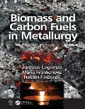 Cover-Bild zum Titel 'Biomass and Carbon Fuels in Metallurgy' von 'Jaroslav Legemza, Róbert Findorák, Mária Fröhlichová'