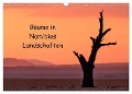 Bäume in Namibias Landschaften (Wandkalender 2025 DIN A3 quer), CALVENDO Monatskalender - Anne Berger