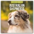 Australian Shepherds - Australian Shepherd 2025 - 16-Monatskalender - 