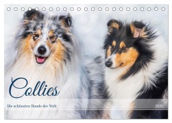 Collies - die schönsten Hunde der Welt (Tischkalender 2026 DIN A5 quer), CALVENDO Monatskalender - Sigrid Starick