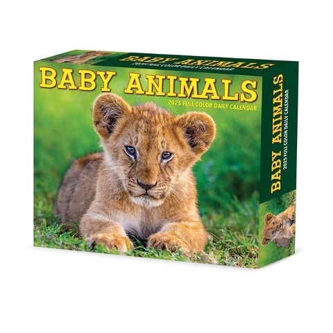 Baby Animals 2025 6.2 X 5.4 Box Calendar - Willow Creek Press