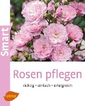Cover-Bild zum Titel 'Rosen pflegen' von 'Henry Klein'