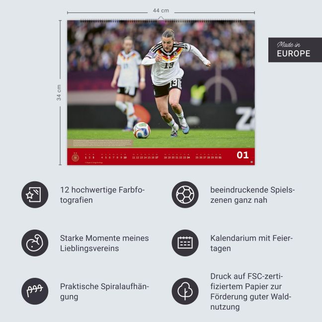 InsideView 13