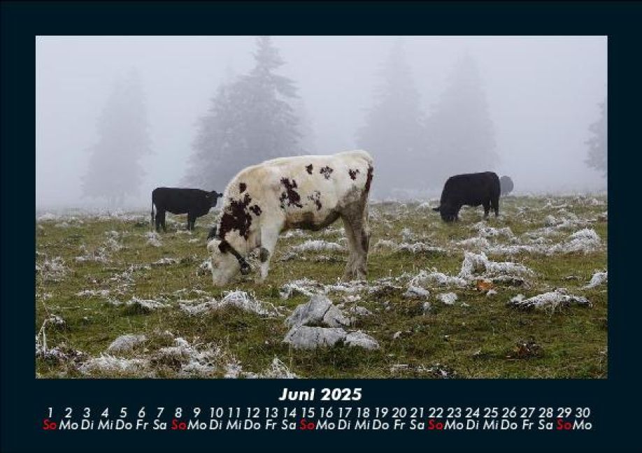InsideView 10