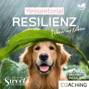 Cover-Bild zum Titel 'Resilienz, die 7 Säulen der mentalen Stärke, mit Selbsttest im Hörbuch zur Stärkung deiner inneren Widerstandskraft' von 'Indi Sanders, Coco Styles'