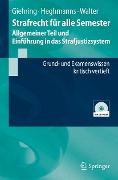Strafrecht für alle Semester - Allgemeiner Teil und Einführung in das Strafjustizsystem - Heinz Giehring, Michael Heghmanns, Tonio Walter