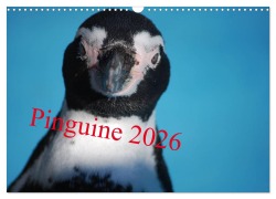 Cover-Bild zum Titel 'Pinguine 2026 (Wandkalender 2026 DIN A3 quer), CALVENDO Monatskalender' von 'Ilka Groos'