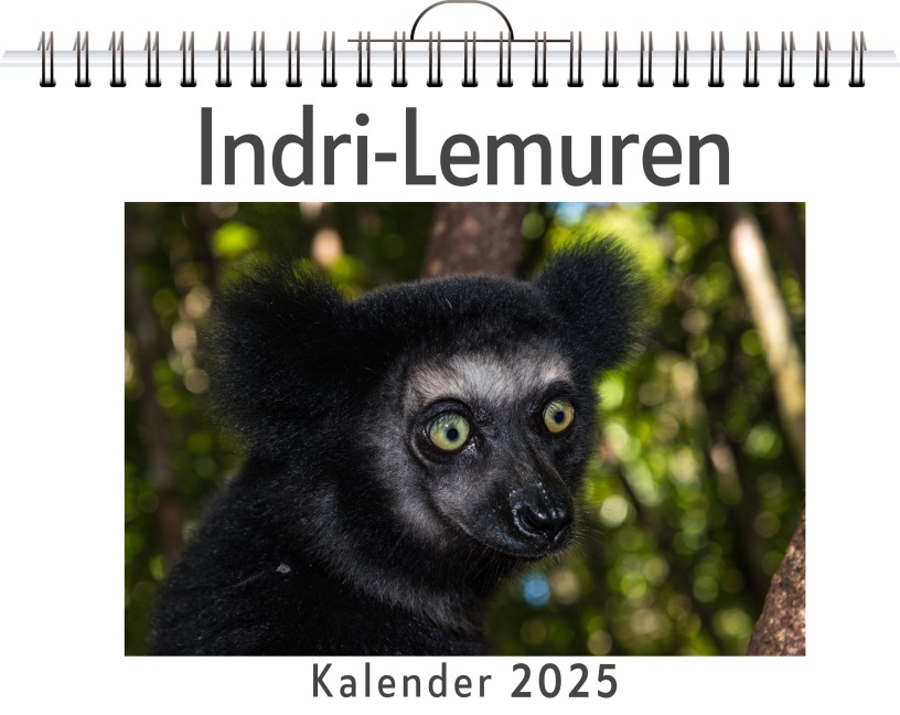 Indri-Lemuren - Lucy Hartmann