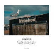 Cover-Bild zum Titel 'Brighton' von 'Tobias Riedl'