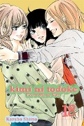 Cover-Bild zum Titel 'Kimi Ni Todoke: From Me to You, Vol. 18' von 'Karuho Shiina'