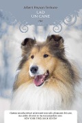 Cover-Bild zum Titel 'Lad. Un cane' von 'Albert Payson Terhune'