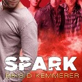 Cover-Bild zum Titel 'Spark Lib/E' von 'Brigid Kemmerer'