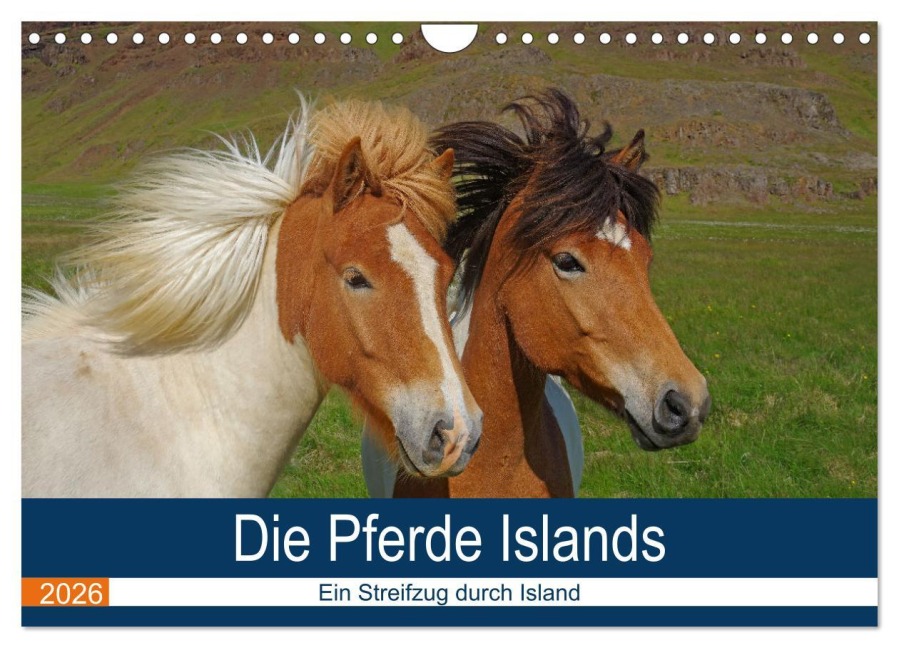 Die Pferde Islands - Ein Streifzug durch Island (Wandkalender 2026 DIN A4 quer), CALVENDO Monatskalender - Reinhard Pantke