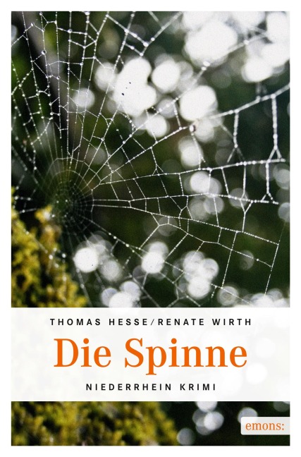 Die Spinne - Thomas Wirth Hesse
