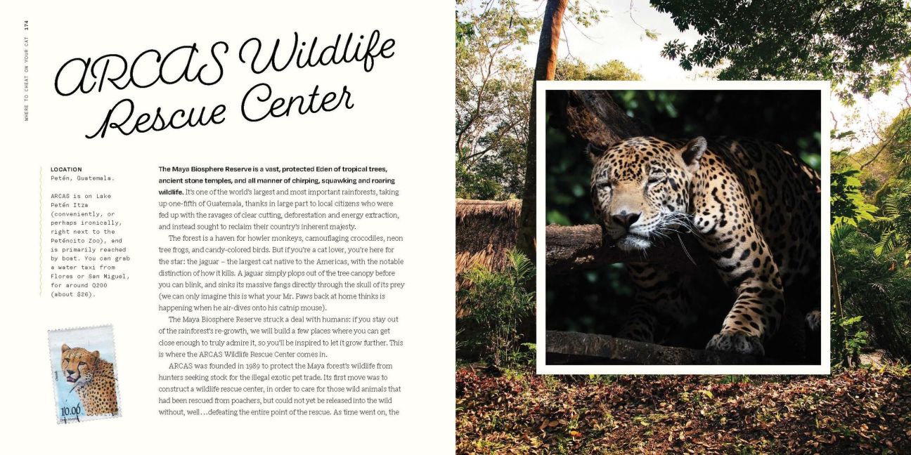 InsideView 19
