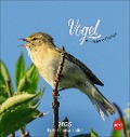 Vögel in unseren Gärten Postkartenkalender 2025 - 