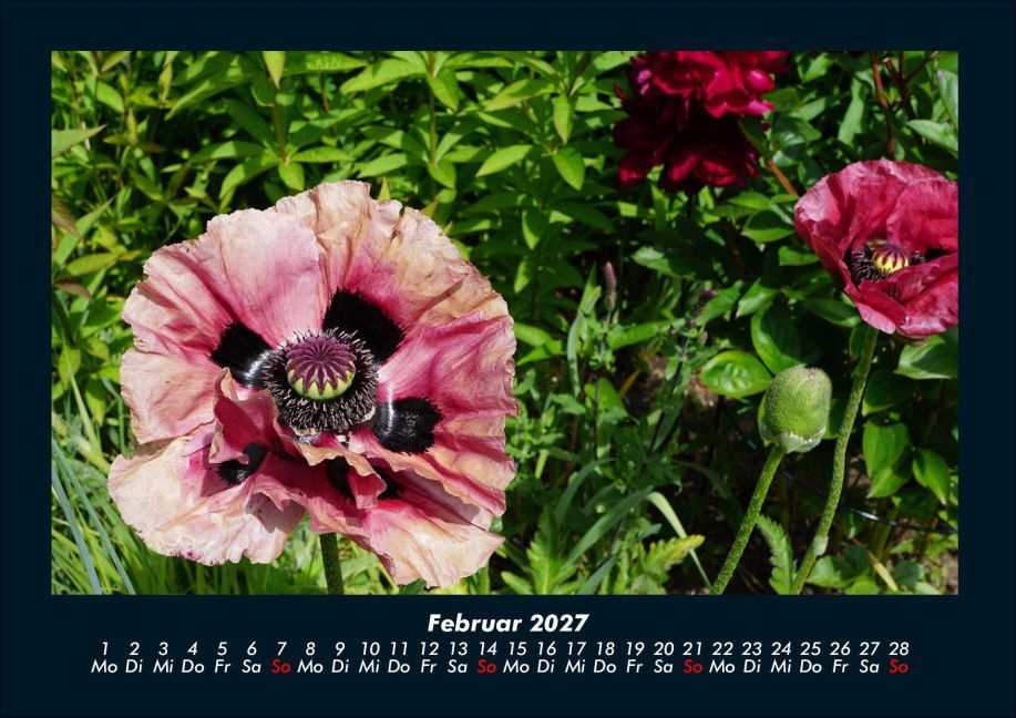 InsideView 6