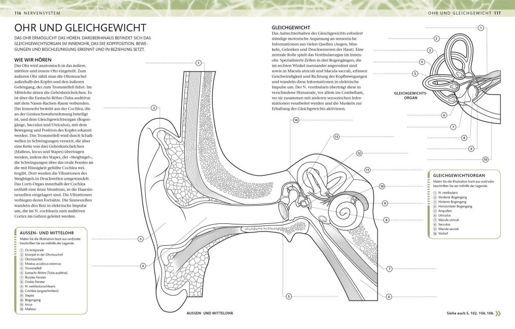 InsideView 5