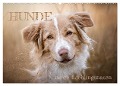 Hunde - Unsere Lieblingsnasen (Wandkalender 2025 DIN A2 quer), CALVENDO Monatskalender - Tierfotografie Andreas Kossmann