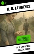 Cover-Bild zum Titel 'D. H. Lawrence: Erzählungen' von 'D. H. Lawrence'