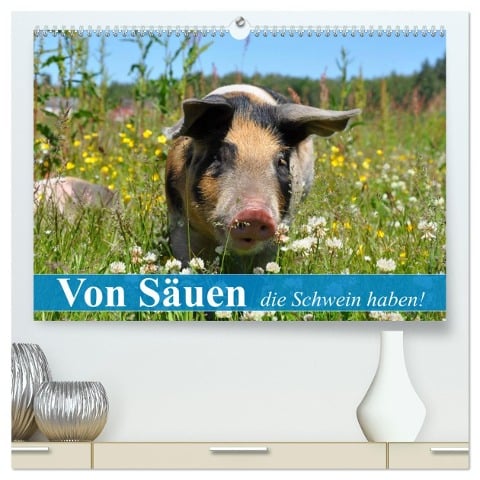 Von Säuen die Schwein haben! (hochwertiger Premium Wandkalender 2025 DIN A2 quer), Kunstdruck in Hochglanz - Elisabeth Stanzer