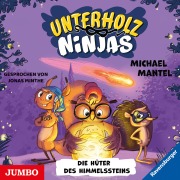 Cover-Bild zum Titel 'Unterholz-Ninjas. Die Hüter des Himmelssteins [Band 2]' von 'Michael Mantel'