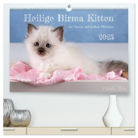 Heilige Birma Kitten - ein Traum auf weißen Pfötchen (hochwertiger Premium Wandkalender 2025 DIN A2 quer), Kunstdruck in Hochglanz - Michaela Thoms