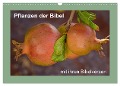 Pflanzen der Bibel (Wandkalender 2025 DIN A3 quer), CALVENDO Monatskalender - Hans-Georg Vorndran