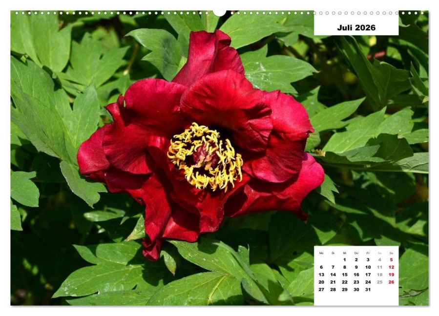 InsideView 12
