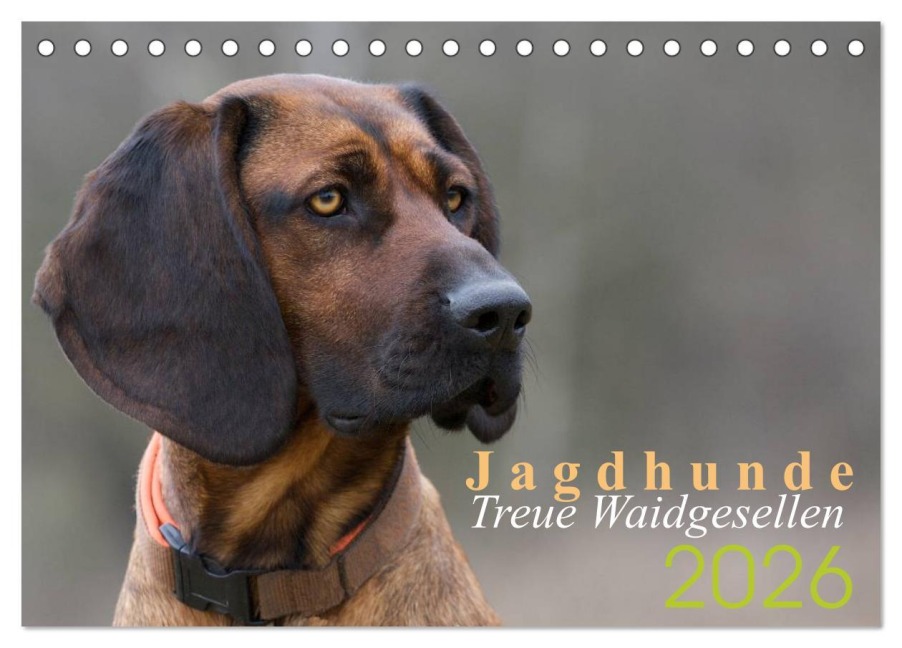 Jagdhunde - Treue Waidgesellen (Tischkalender 2026 DIN A5 quer), CALVENDO Monatskalender - Nadine Gerlach