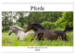 Cover-Bild zum Titel 'Pferde, das größte Glück auf dieser Erde (Wandkalender 2026 DIN A4 quer), CALVENDO Monatskalender' von 'Elke Laage'