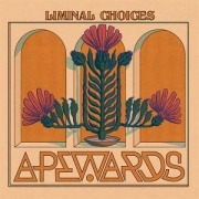 Cover-Bild zum Titel 'Liminal Choices' von 'Apewards'