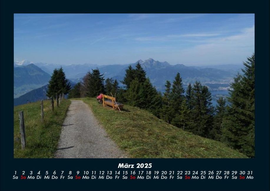 InsideView 7