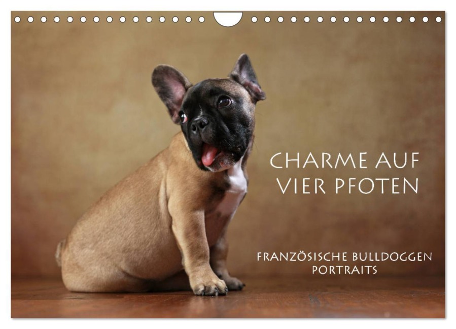 Charme auf vier Pfoten - Französische Bulldoggen Portraits (Wandkalender 2025 DIN A4 quer), CALVENDO Monatskalender - Jana Behr