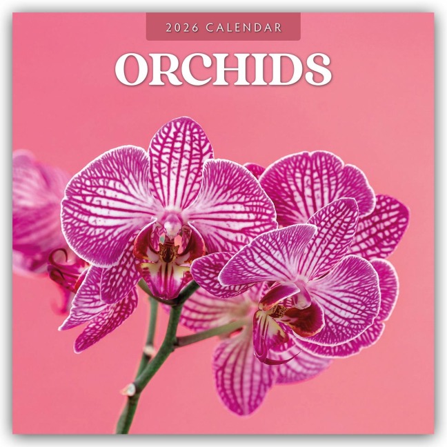 Orchids - Orchideen 2026 - 16-Monatskalender - Robin Red