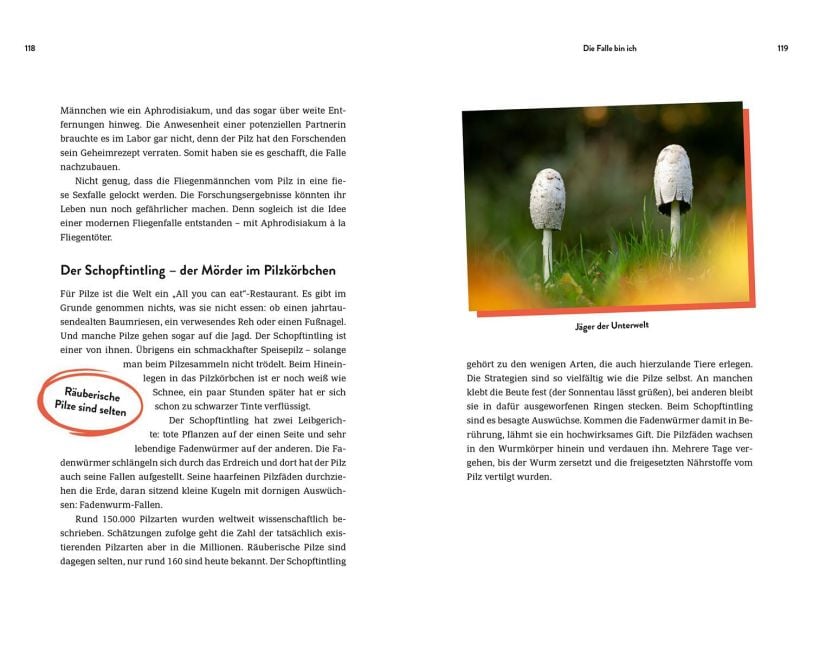 InsideView 4