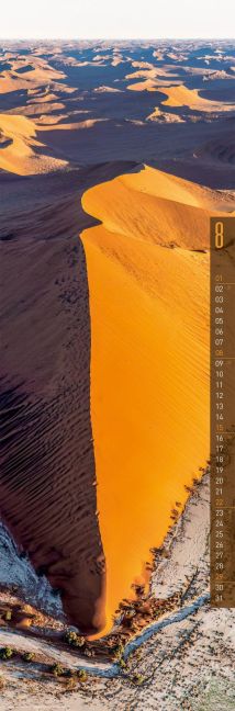 InsideView 8