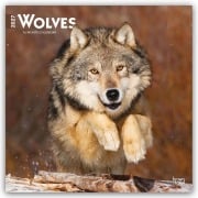 Cover-Bild zum Titel 'Wolves - Wölfe 2027 - 16-Monatskalender' von 'Browntrout Publishers'