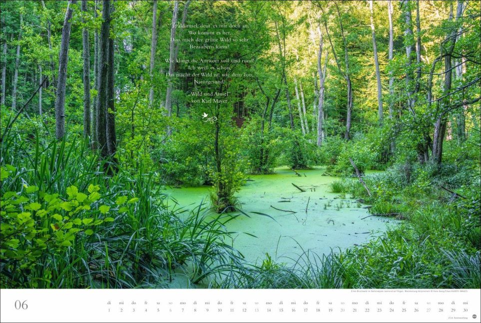 InsideView 6