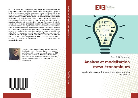 Analyse et modélisation méso-économiques - Yasser Yeddir Tamsamani