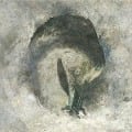 Cover-Bild zum Titel 'Ashes' von 'Suma'